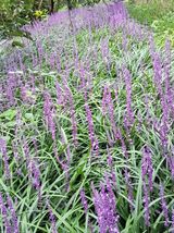 팜모닝 자유주제·자유게시판 게시글 이미지