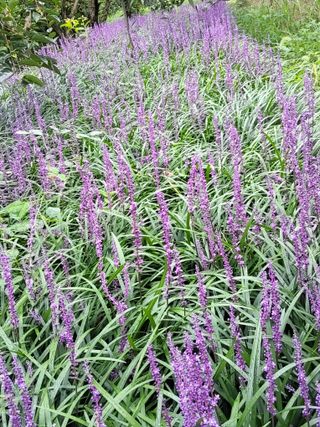 자두20651님의 자유주제 · 자유게시판 작성글 사진