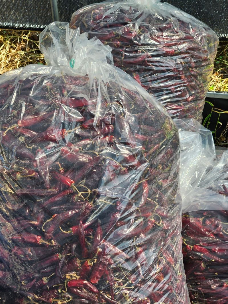 장터 상품 [2024년햇고추가루국내산] 썸네일