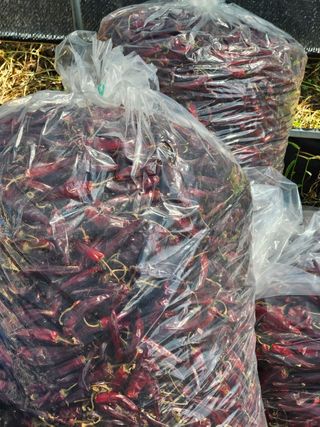 임은주님의 작성글 사진