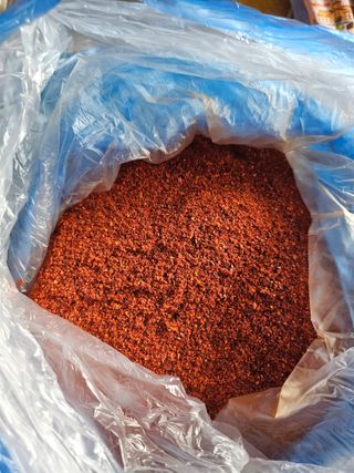 임은주님의 작성글 사진