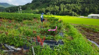 박현주님의 자유주제 · 자유게시판 작성글 사진