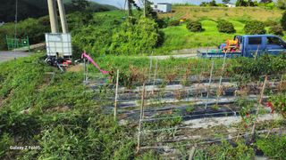 박현주님의 자유주제 · 자유게시판 작성글 사진