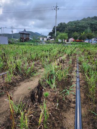 강인규님의 자유주제 · 자유게시판 작성글 사진