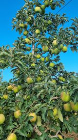 팜모닝 자유주제·자유게시판 게시글 이미지