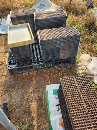 진기섭님의 파 · 영농일지 작성글 사진