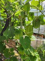 팜모닝 자유주제·자유게시판 게시글 이미지