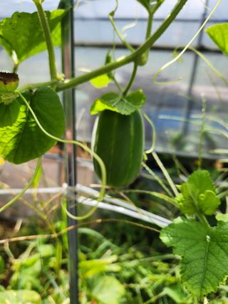 행복농원님의 자유주제 · 자유게시판 작성글 사진