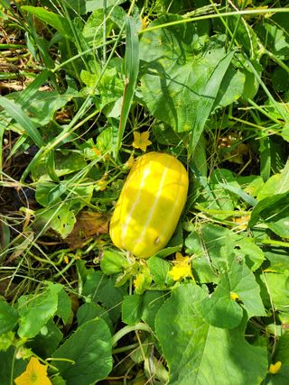 행복농원님의 자유주제 · 자유게시판 작성글 사진