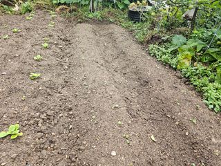 솔바람 님의 기타작물 · 영농일지 작성글 사진