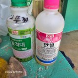 팜모닝 자유주제·자유게시판 게시글 이미지