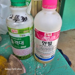 이의석님의 자유주제 · 자유게시판 작성글 사진