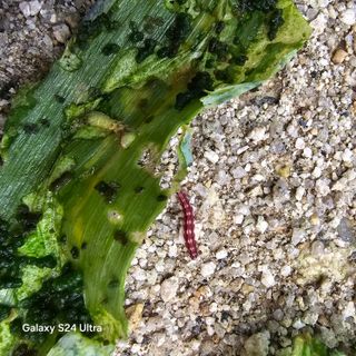 이의석님의 자유주제 · 자유게시판 작성글 사진