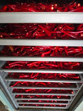 선비 농군님의 작성글 사진