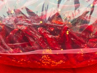 선비 농군님의 작성글 사진