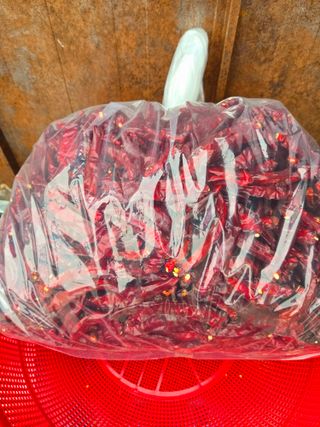 선비 농군님의 작성글 사진