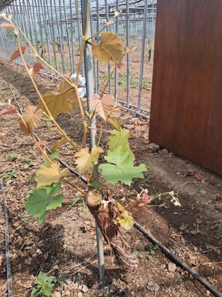 미스농부님의 자유주제 · 자유게시판 작성글 사진