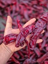 팜모닝 · 게시글 이미지