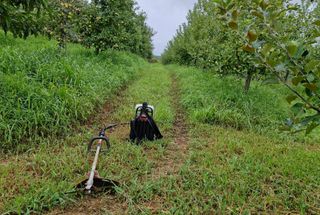 전락구님의 사과 · 영농일지 작성글 사진