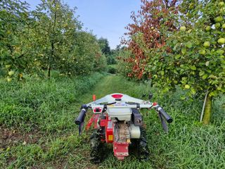 전락구님의 사과 · 영농일지 작성글 사진