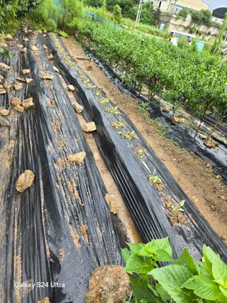 소병찬님의 💚우리 동네 자랑하기 · 참여글 작성글 사진