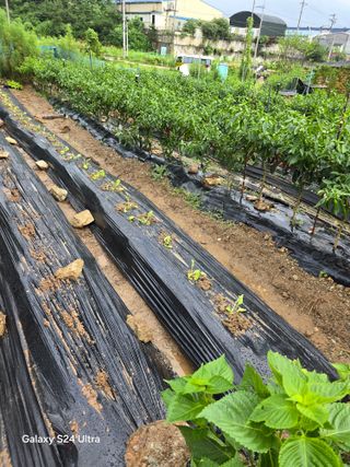 소병찬님의 💚우리 동네 자랑하기 · 참여글 작성글 사진