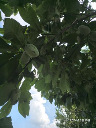 김선웅[포포나무]님의 자유주제 · 자유게시판 작성글 사진