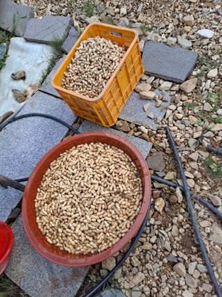 땅콩맘님의 자유주제 · 자유게시판 작성글 사진