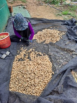 땅콩맘님의 자유주제 · 자유게시판 작성글 사진