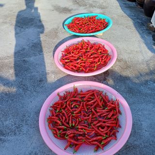 알 수 없음님의 자유주제 · 자유게시판 작성글 사진