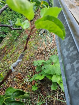 김용대님의 자유주제 · 자유게시판 작성글 사진