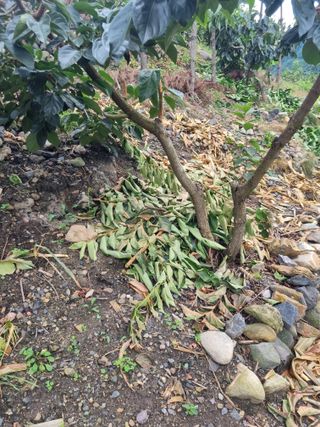 김용대님의 자유주제 · 자유게시판 작성글 사진