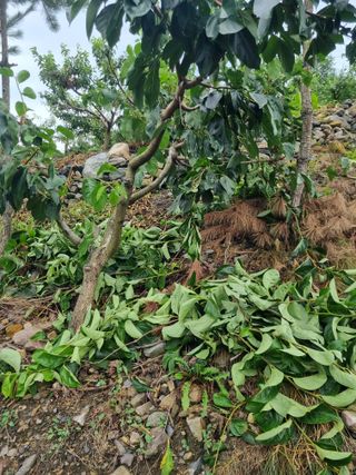 김용대님의 자유주제 · 자유게시판 작성글 사진