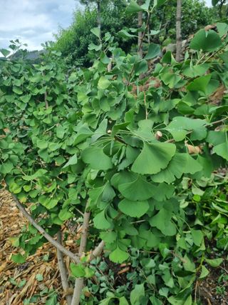 김용대님의 자유주제 · 자유게시판 작성글 사진