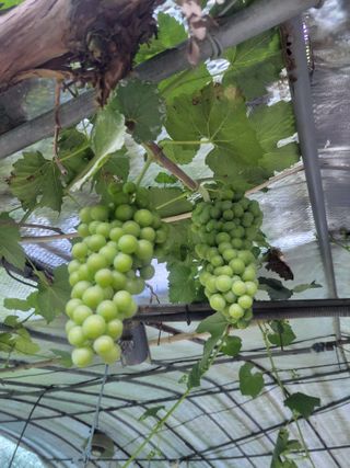 정택님의 자유주제 · 건의해요 작성글 사진