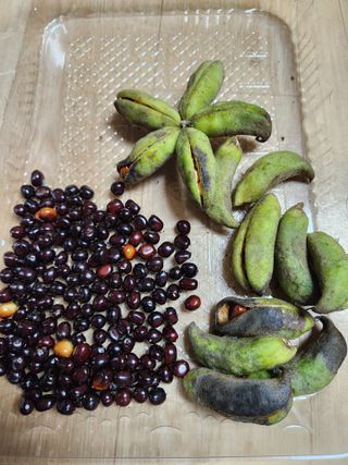 한상경님의 자유주제 · 자유게시판 작성글 사진