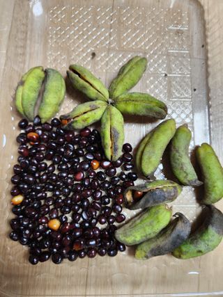 한상경님의 자유주제 · 자유게시판 작성글 사진