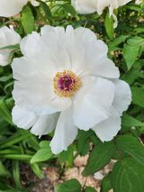 팜모닝 자유주제·자유게시판 게시글 이미지