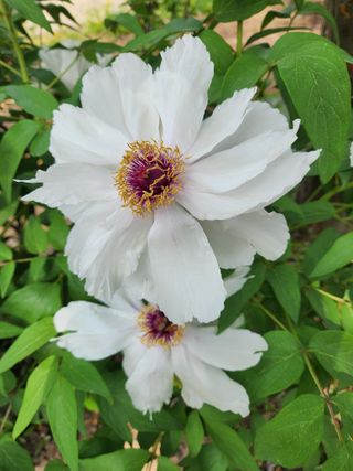 한상경님의 자유주제 · 자유게시판 작성글 사진