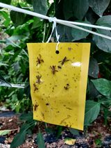 팜모닝 자유주제·자유게시판 게시글 이미지