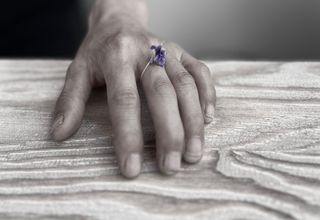 이종열님의 자유주제 · 자유게시판 작성글 사진