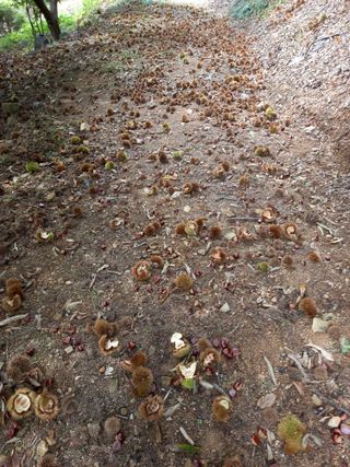 홍가네수정농장님의 자유주제 · 자유게시판 작성글 사진