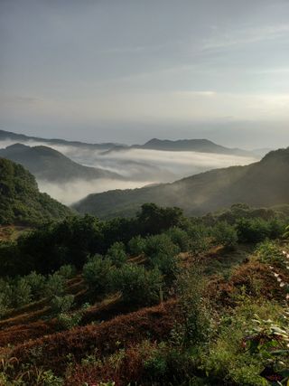 홍가네수정농장님의 자유주제 · 자유게시판 작성글 사진
