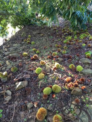 홍가네수정농장님의 자유주제 · 자유게시판 작성글 사진