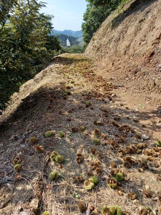 홍가네수정농장님의 자유주제 · 자유게시판 작성글 사진