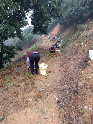 홍가네수정농장님의 자유주제 · 자유게시판 작성글 사진