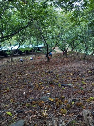 홍가네수정농장님의 자유주제 · 자유게시판 작성글 사진