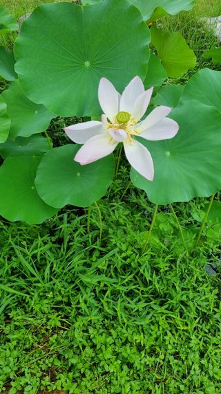 이천용님의 자유주제 · 사진전 작성글 사진