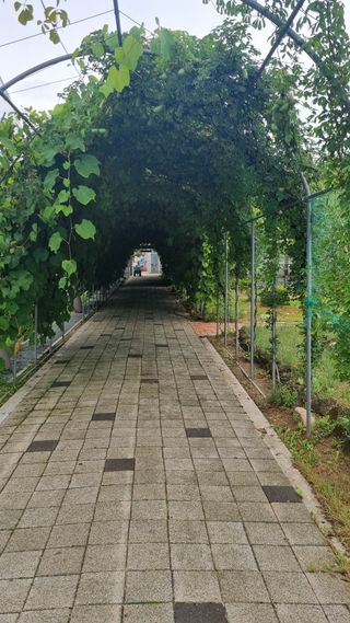 이천용님의 자유주제 · 사진전 작성글 사진