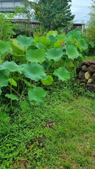 이천용님의 자유주제 · 사진전 작성글 사진